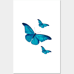 Blue Butterflies Posters and Art